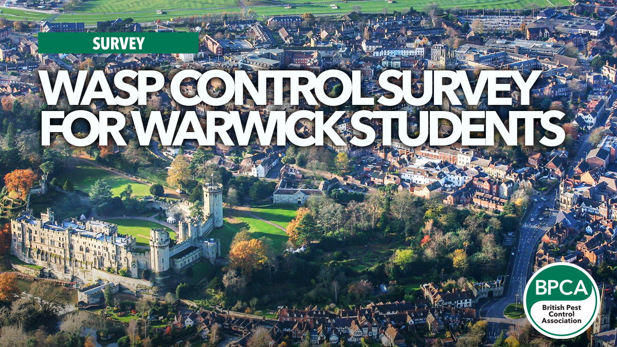 wasp-control-survey-warwick wasp-control-survey-warwick